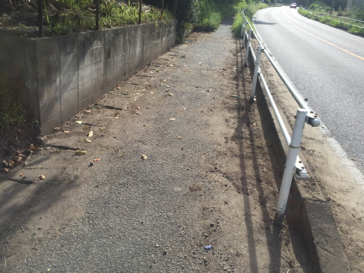 歩道　草むしり